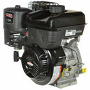 Briggs & Stratton 19N132-0055-F1 Horizontal Engine-2