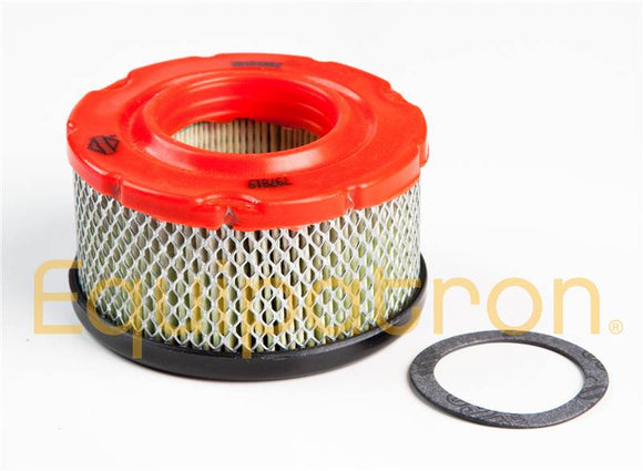 Briggs & Stratton 797819 Air Cleaner Cartridge Filter