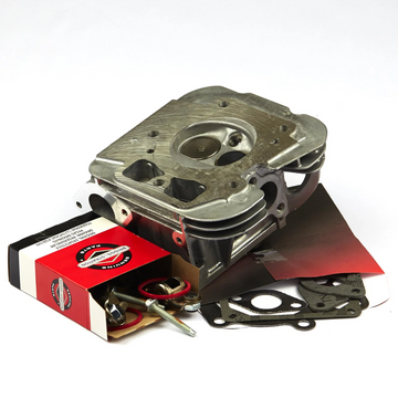 Briggs & Stratton 84001918 Cylinder Head #1, Replaces 796231