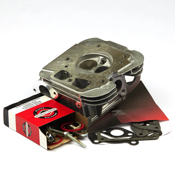 Briggs & Stratton 84001918 Cylinder Head #1, Replaces 796231