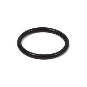Briggs & Stratton 555601 Seal, O-Ring