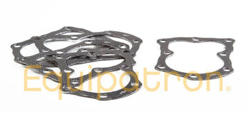 Briggs & Stratton 4120 Head Gaskets, 5-Pack of 272157S - 0