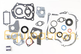 Briggs & Stratton 495603 Engine Gasket Set, Replaces 397145, 297615
