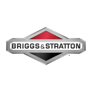 Briggs & Stratton 125P05-0010-F1 Vertical Engine with Electric Start, Replaces 121S07-2062-F1