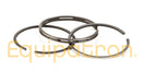 Briggs & Stratton 298174 Standard Ring Set-1