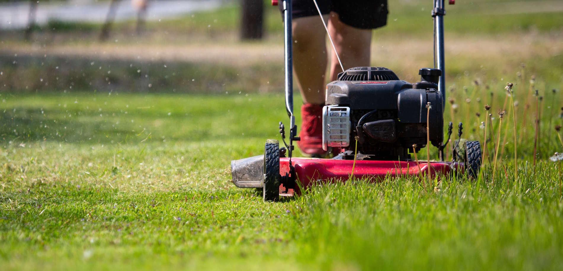 Walk-Behind Lawn Mower Engines