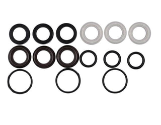 Briggs & Stratton 198845GS Water Seal Kit, Replaces 191826GS, 90878GS, 94834GS
